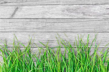Groen gras op grijs hout met kopieruimte voor tekst van Alex Winter