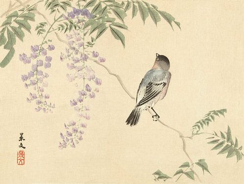 Vogel op wisteriatak, Matsumura Keibun - 1892