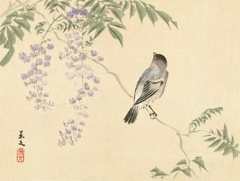 Vogel auf Wisteriatak, Matsumura Keibun - 1892 von Het Archief