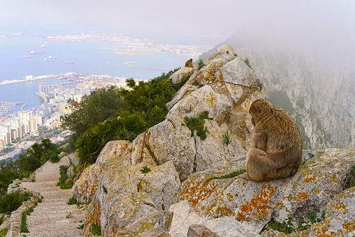 Vues de Gibraltar