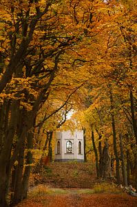 Belvédère des Waldes von Leyduin im Herbst