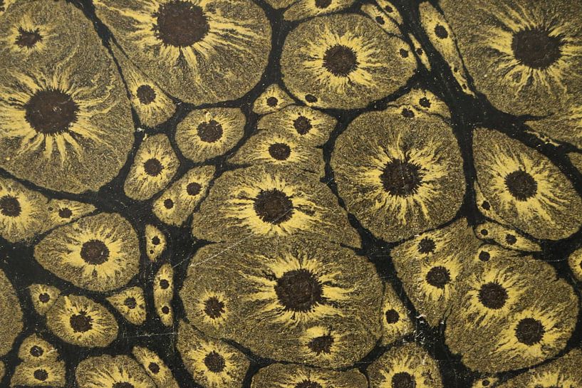 Art numérique Motif coloré Marbré Cellules par Michael Godlewski