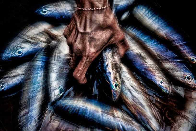 Fish market in Bali by Wim Schuurmans