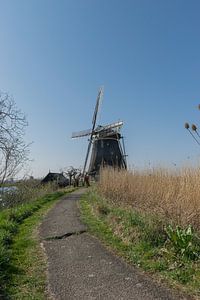 Wunderschöne holländische Windmühle auf einem Deich bei strahlend blauem Himmel
