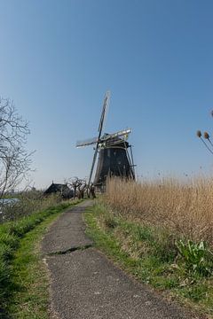 Mooie Hollandse windmolen aan een dijkje met een heldere blauwe lucht van Patrick Verhoef