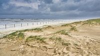 Die Düne mit dem Strand und die Nordsee während eines Sturms von eric van der eijk Miniaturansicht