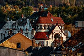 Aue von Johnny Flash