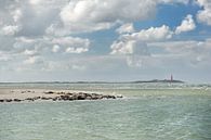 Seals lighthouse de Cocksdorp Texel by Rene du Chatenier thumbnail