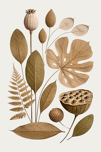 Botanica Cloud Dancer Trendkleur Droogbloemen