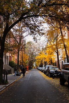 New York West Village/ Greenwich van Shaquille Maarschalkerweerd