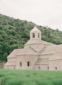 analogue photo of Abbaye Notre-Dame de Senanque by Alexandra Vonk