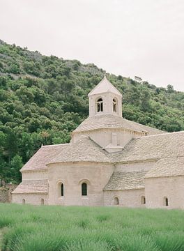 analoge foto van Abbaye Notre-Dame de Senanque van Alexandra Vonk