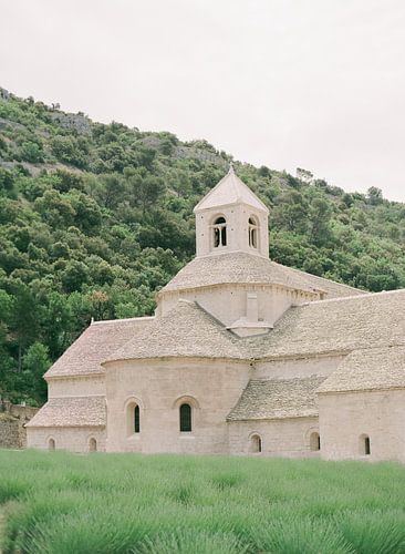 analogue photo of Abbaye Notre-Dame de Senanque