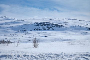 Noors hooggebergte, besneeuwde bergen en landschap van Martin Köbsch