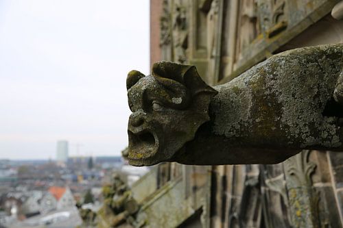 Statue of St John's Cathedral | 's-Hertogenbosch