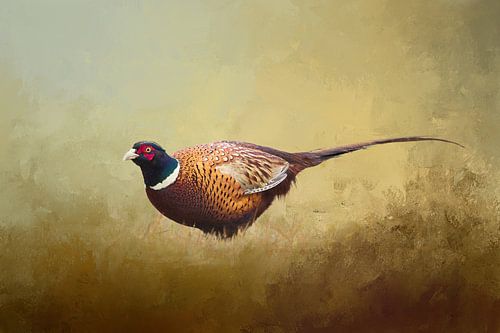 Foto Van Een Fazant Op Geschilderde Achtergrond