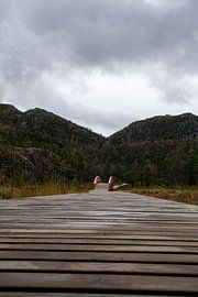 Path to Preikestolen: Into the wild silence by Fabian Kleiser