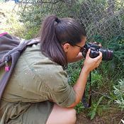 Dtje fotografie Profile picture