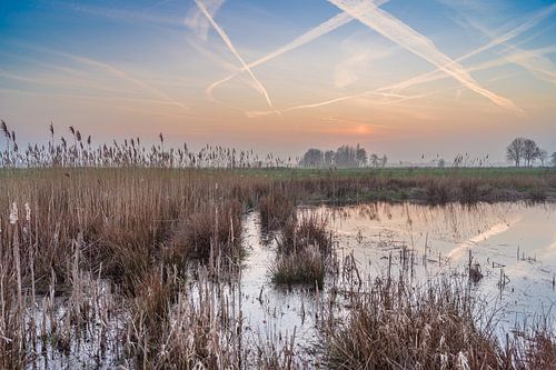 Coucher de soleil dans le polder