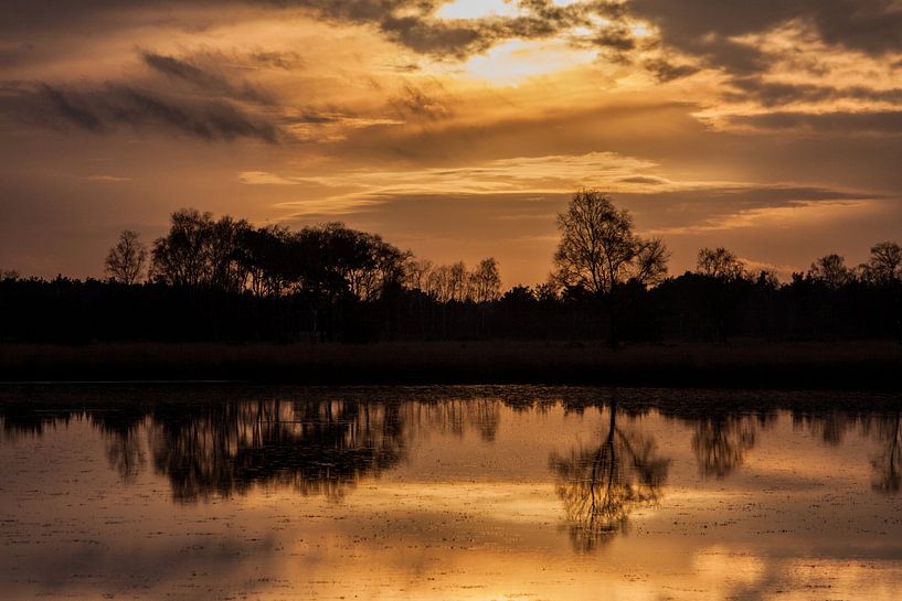 Strabrechtse Heide van Monica Zimmermans