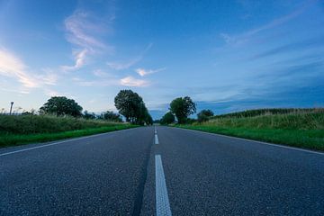 Eindeloze rechte straat door steeg van groene bomen bij dageraad van adventure-photos