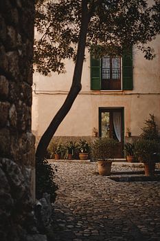 L'heure d'or à Mallora