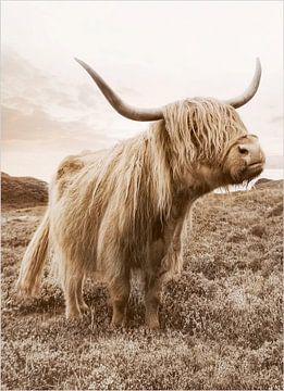 Golden Highland Cattle van Antonije Lazovic