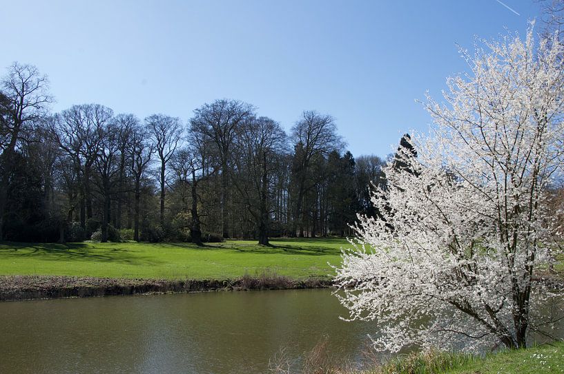 Het is lente in Meise von Kris Gevaert