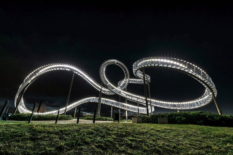 Magic Mountain von Sven Frech