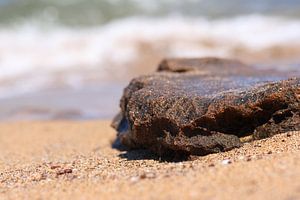Un rocher dans le ressac
