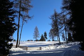 Winterliche Stille am Waldrand von Yanik Florin