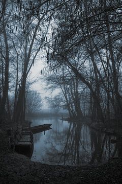 Early morning in Taubergiessen by Thomas Heins