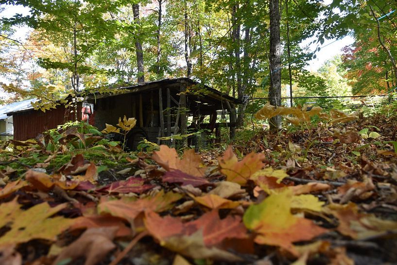 Eine Hütte im Wald im Herbst von Claude Laprise