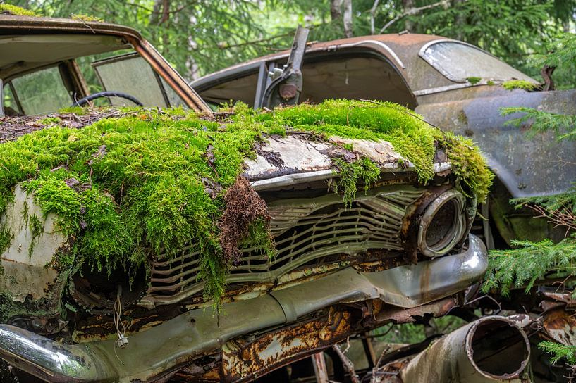 Moosiges Auto von Wendy van der Klift-Bartelings