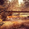 Ontdek de betoverende schoonheid van de Hoëgne in België, vastgelegd in een prachtig beeld van de Pont de la Vecquée. van Eriks Photoshop