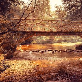 Discover the enchanting beauty of the Hoëgne in Belgium, captured in a stunning image of the Pont de la Vecquée. by Eriks Photoshop