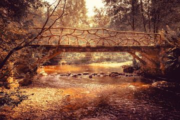 Ontdek de betoverende schoonheid van de Hoëgne in België, vastgelegd in een prachtig beeld van de Pont de la Vecquée. van Eriks Photoshop