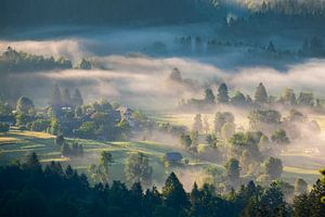 Vallée dans la brume