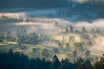 Valley in the fog by Laura Vink