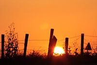 Sunset 2