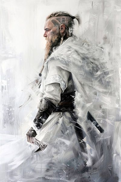 Viking van Jacky