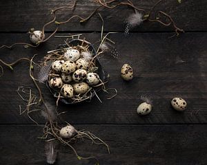 lente eitjes van Anoeska Vermeij Fotografie