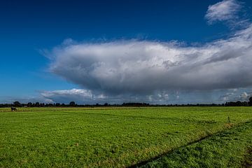 Drents landschap met een dreigende regenwolk