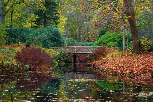 Park Oranjewoud met houten bruggetje tijdens de herfst