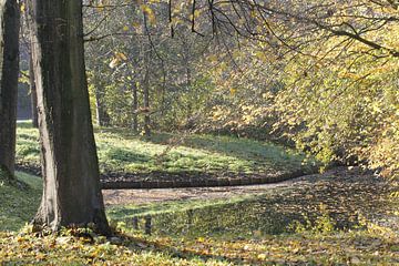 Herfst van Carel van der Lippe