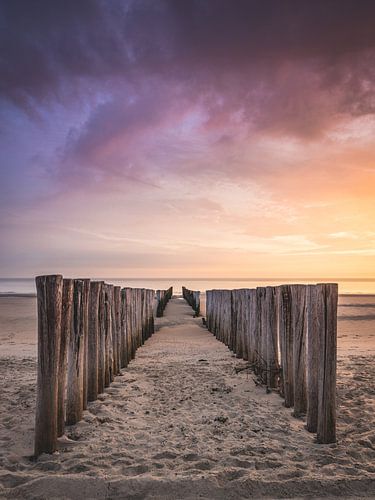 Défenseurs de la côte