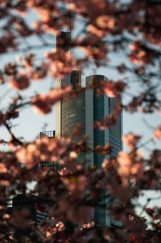 In kerkbloesem gedompelde Commerzbank van Mert Sezer