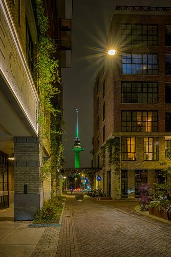 Euromast from Little C by Leon Okkenburg