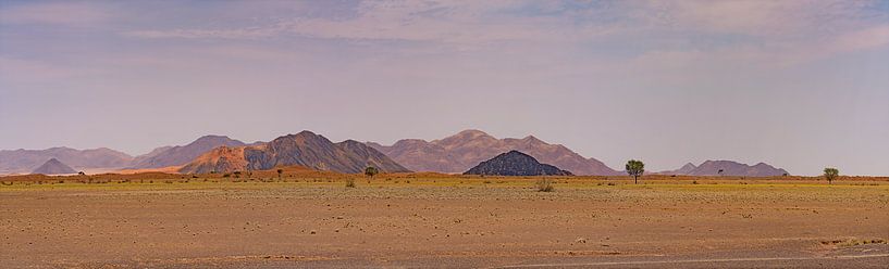 Panorama of landscape in Namibia by Peter van Vuuren