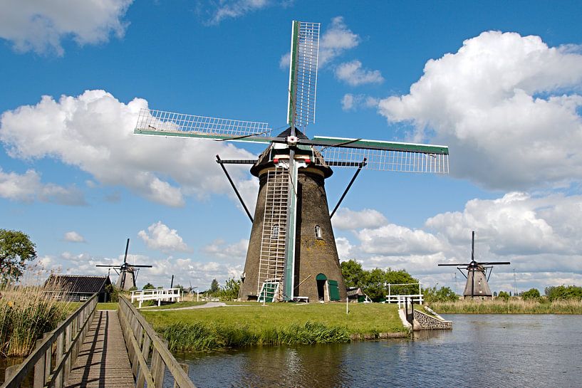 Kinderdijk by W J Kok